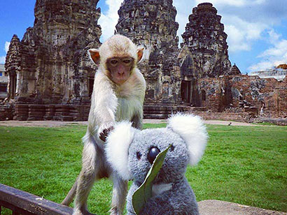 Monkey feeling Jimmy's ears