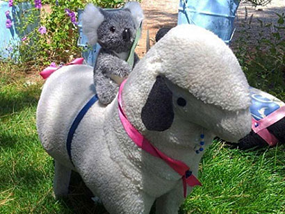 Jimmy riding a sheep in Turkey
