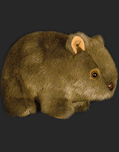 Wally the Australian made wombat