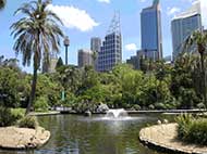 Main pond in Sydney Botanic Gardens