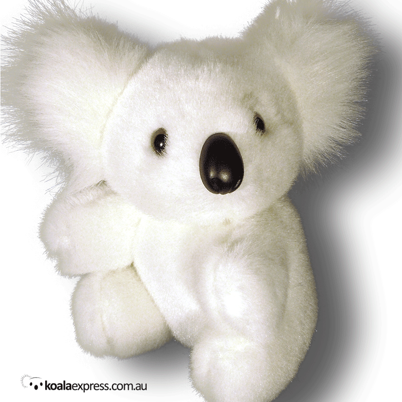 Australian Made Koala Plush Stuffed Toy