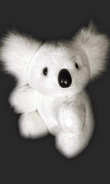 Snowy Australian Made Plush Koala Toy