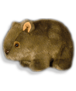 Wally plush australian made wombat toy